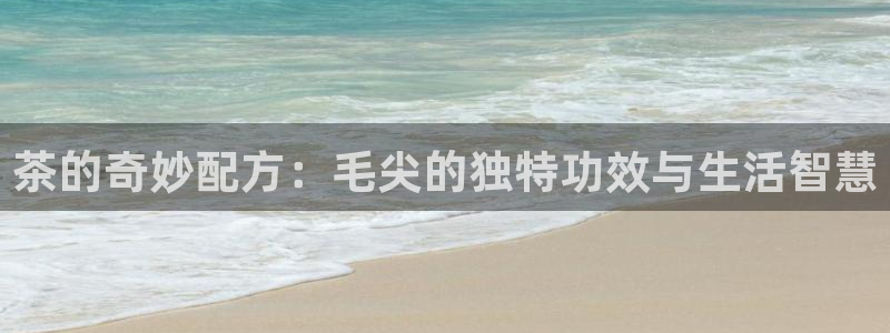 金年会官方网站登录