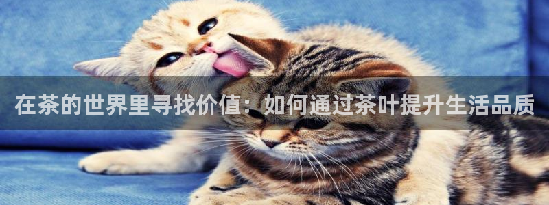 金年会体育官方网站
