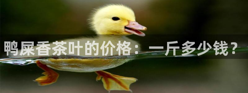 金年会 信誉至上