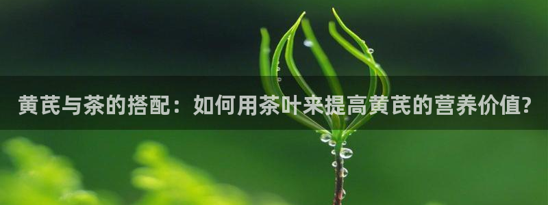 金年会app下载官网