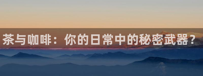 金年会活动策划