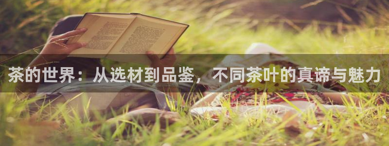 金年会体育官方下载