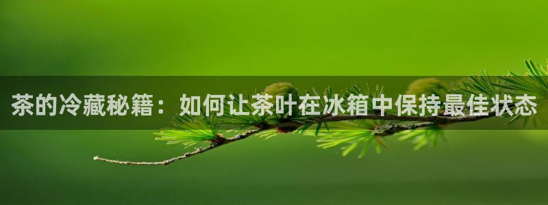 金诺利年会