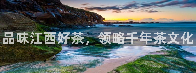 金年会官方网