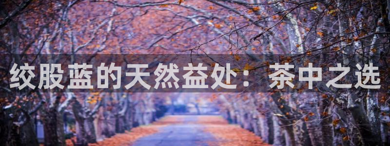 融通金年会