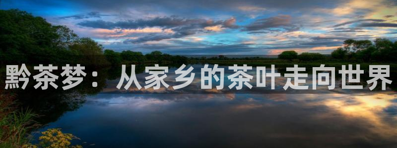 金齿科年会