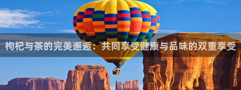 金年会在线