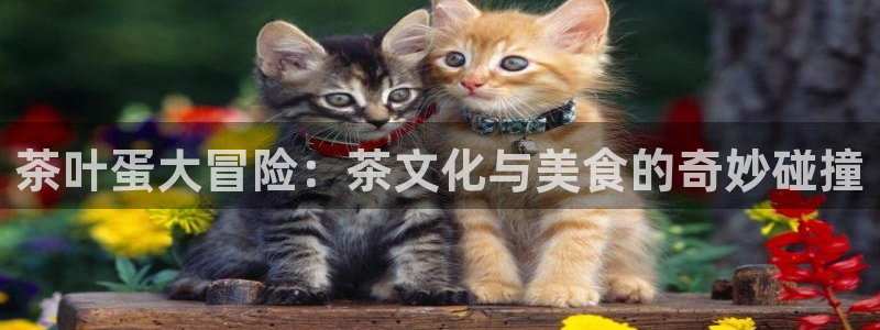 金年会取款