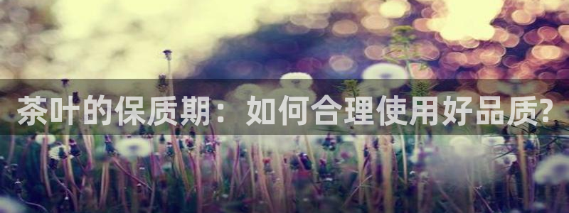 融通金年会