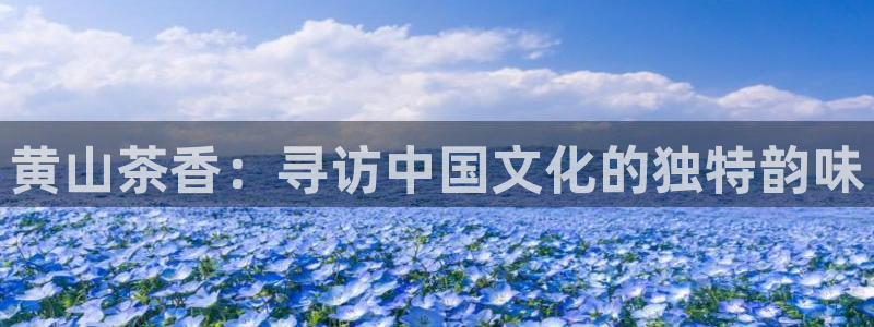 金年会app