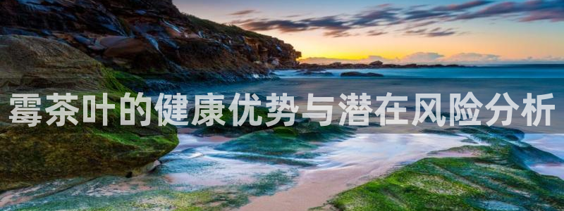金年会网页版登陆