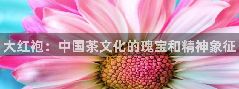 金年会金字招牌诚信至上