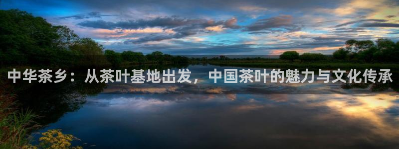 金年会登录入口