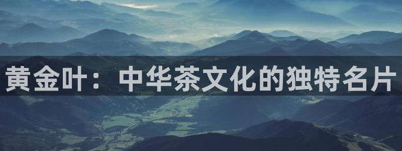 金雅陶瓷年会现场