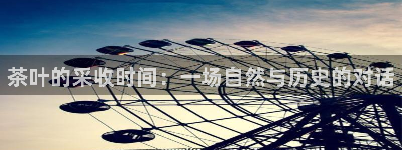 金年会投注官网