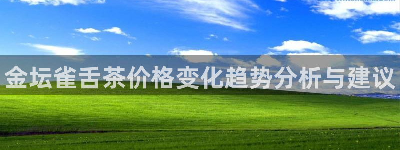 金辉城年会视频