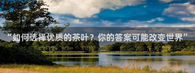 金联金年会