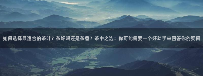 金辉城年会视频