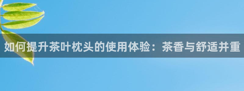 金年会app在线