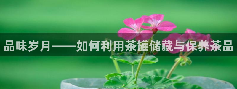 金年会娱乐下载app