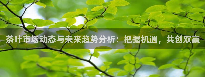 金年会体育官方下载