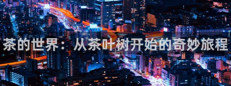 金年会足彩