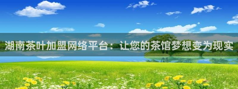 为什么搜索不了金年会