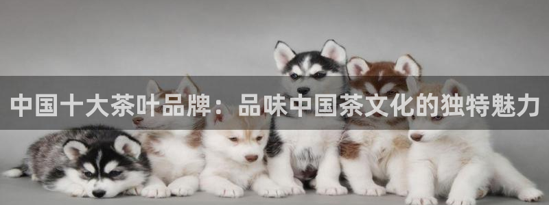 金年会金年华
