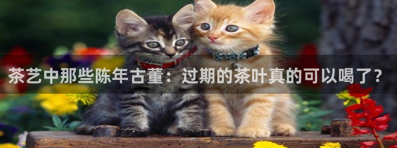 金年会娱乐提现