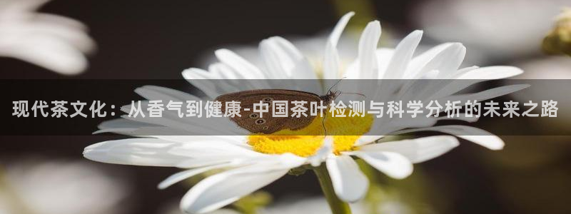 金立年会