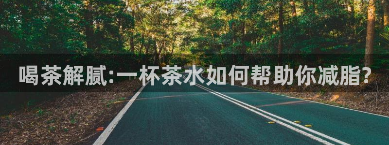类似金年会