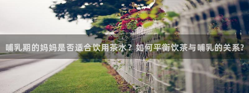 金年会平台游戏