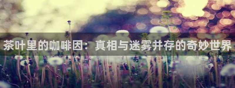 金年会棋牌