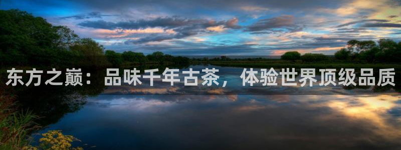 金年会最新官网