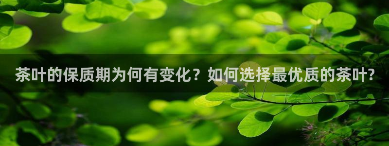 金升年会