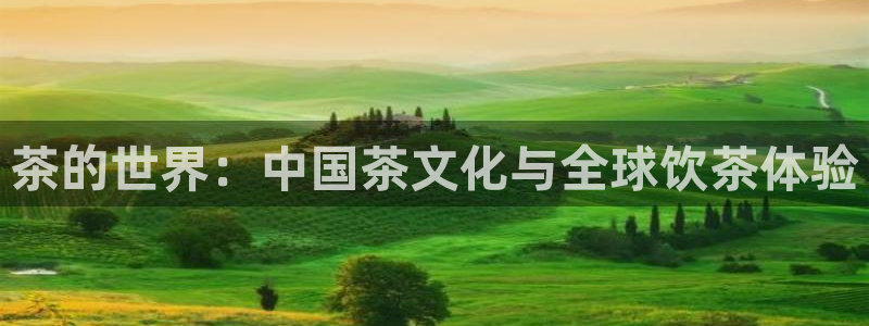 金齿科年会