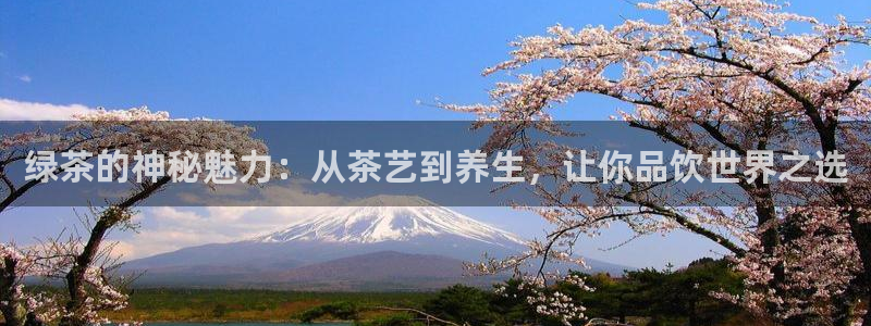 金年会足彩