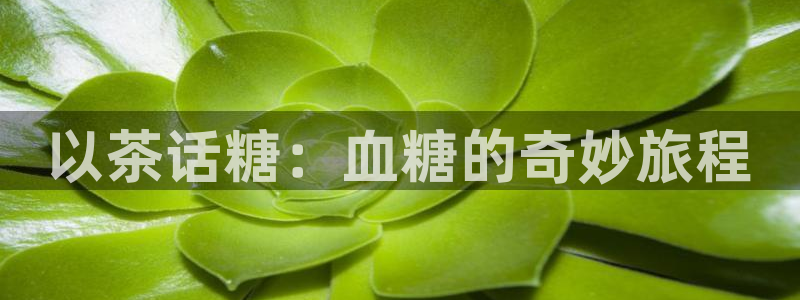 金年会体育和金年会