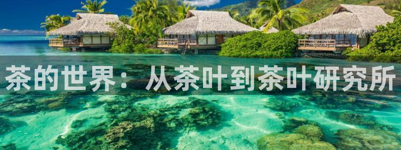 金年会代理