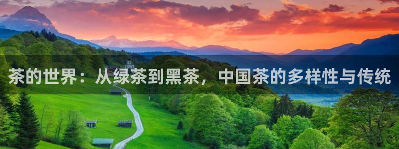 金年会电子游戏app