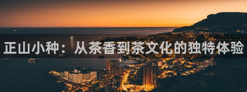 金年会是正规平台吗