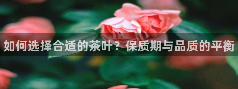 金年会金年会