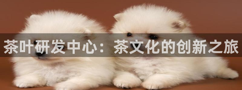 金年会下载官方