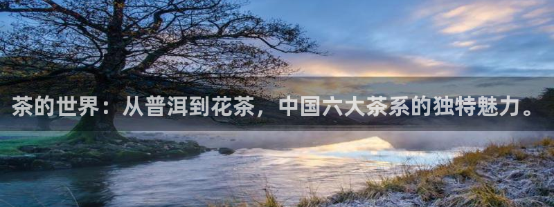 金年会注册官网