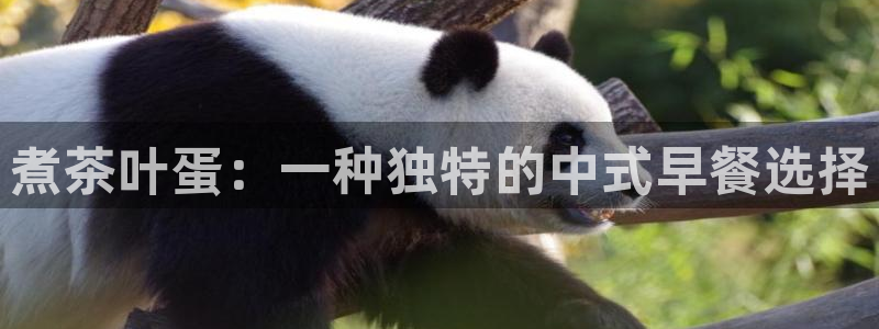 金 金年会