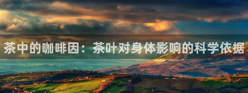 金年会网址