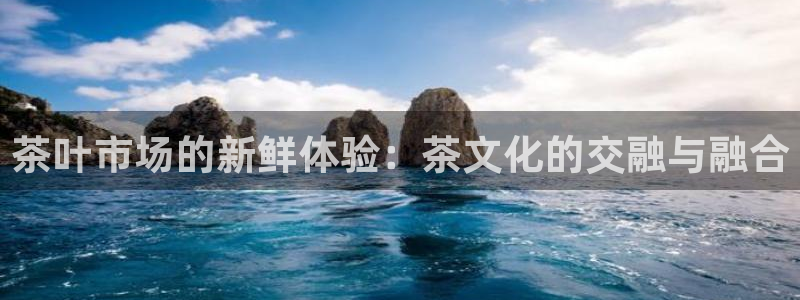 金年会体育app下载