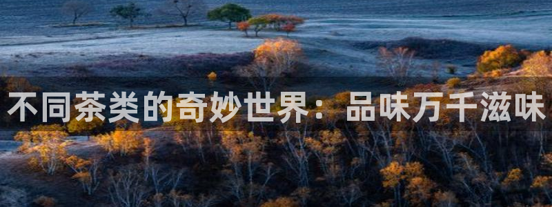 金年会官方入口