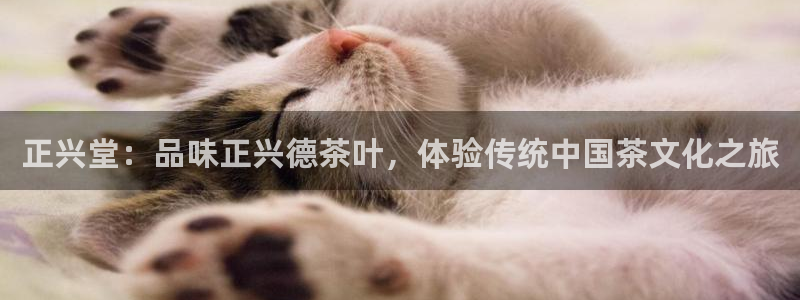 金年会开户