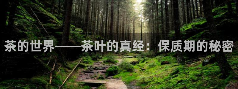 金年会体育app官网